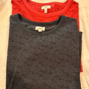 Aerie Women's Lace Tops - Red and Black